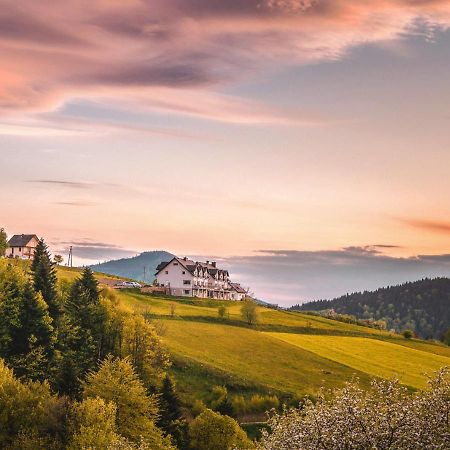 Blizej Nieba Bed & Breakfast Skrzydlna Eksteriør bilde